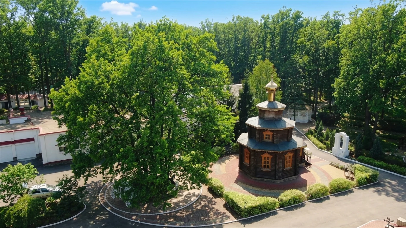 Зелёная территория ЯР Hotel&SPA